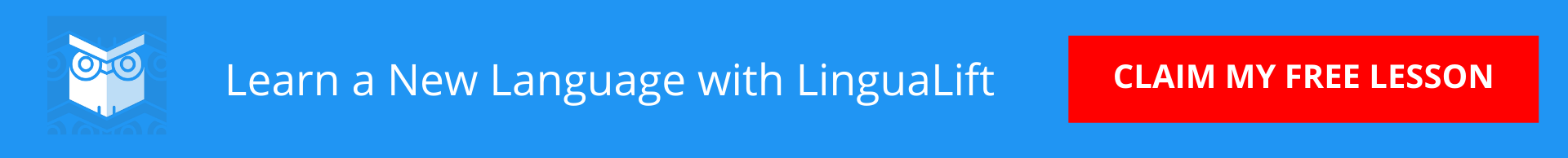 Learn a new Language with LinguaLift